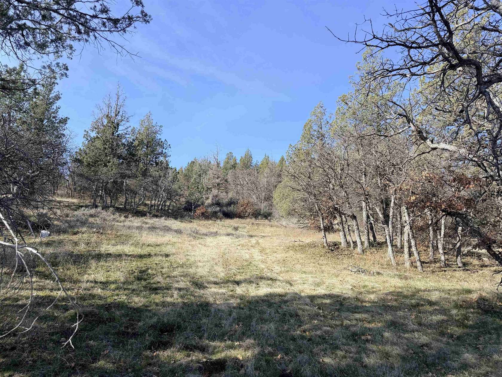 8.6 Acres of Land for Sale in Montague, California