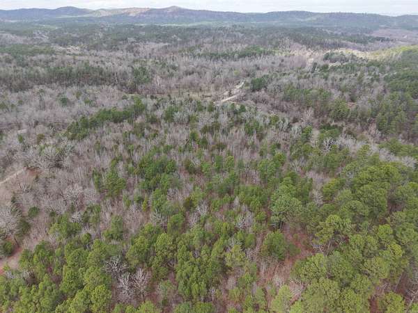 10 Acres of Recreational Land for Sale in Mount Ida, Arkansas