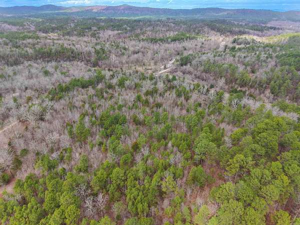 10 Acres of Recreational Land for Sale in Mount Ida, Arkansas