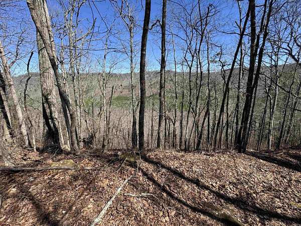 10 Acres of Land for Sale in Clinton, Arkansas