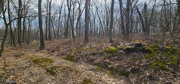 2 Acres of Land for Sale in Rockaway Township, New Jersey