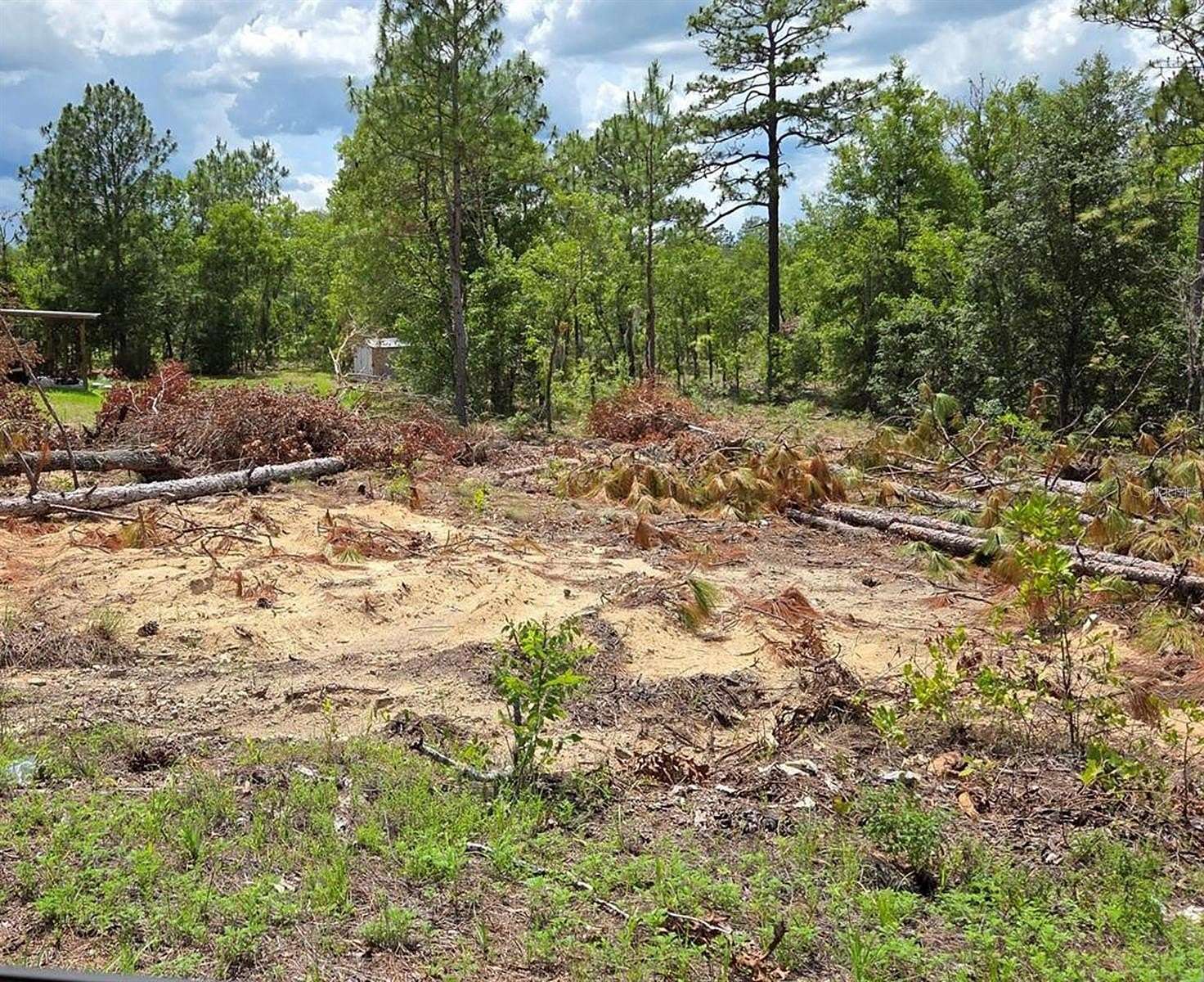 0.24 Acres of Residential Land for Sale in Williston, Florida