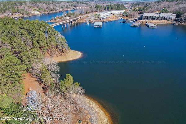 1.6 Acres of Improved Mixed-Use Land for Sale in Crane Hill, Alabama