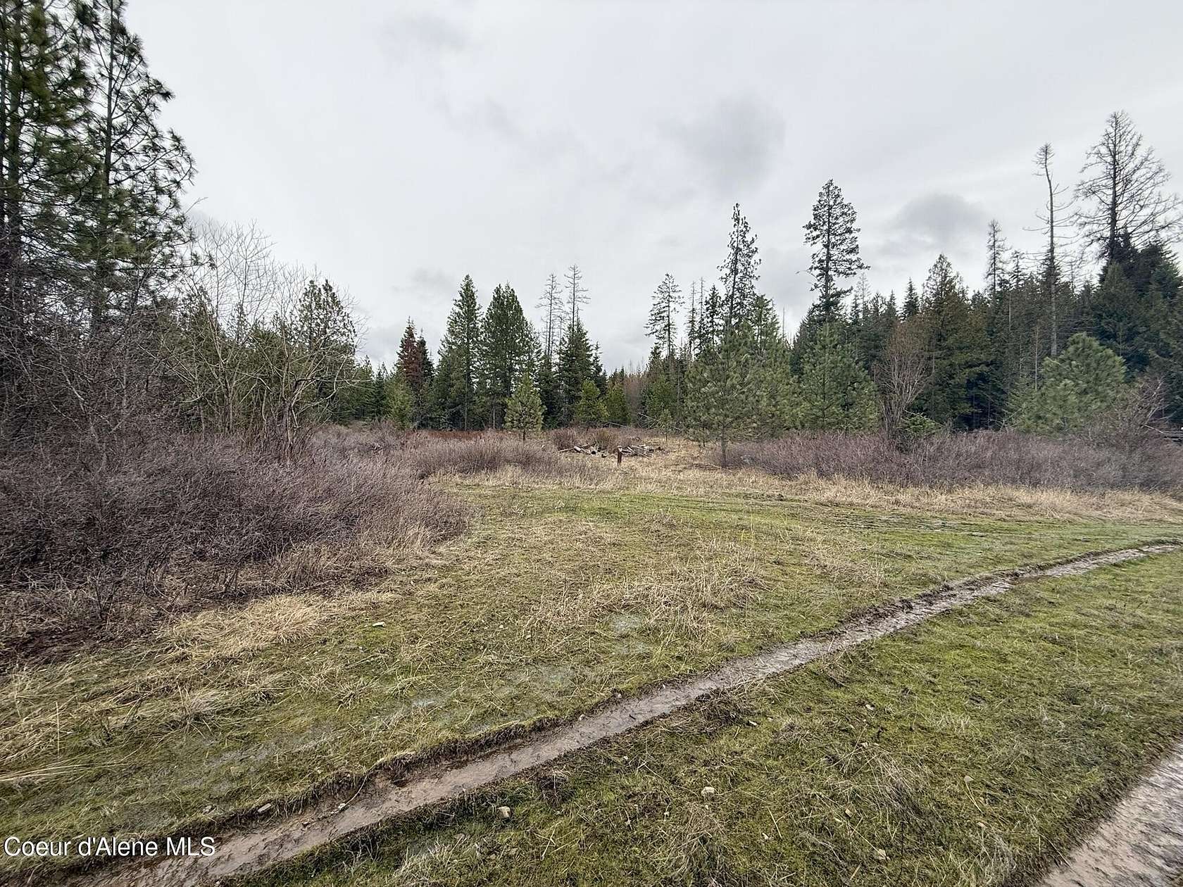 20.5 Acres of Land for Sale in St. Maries, Idaho