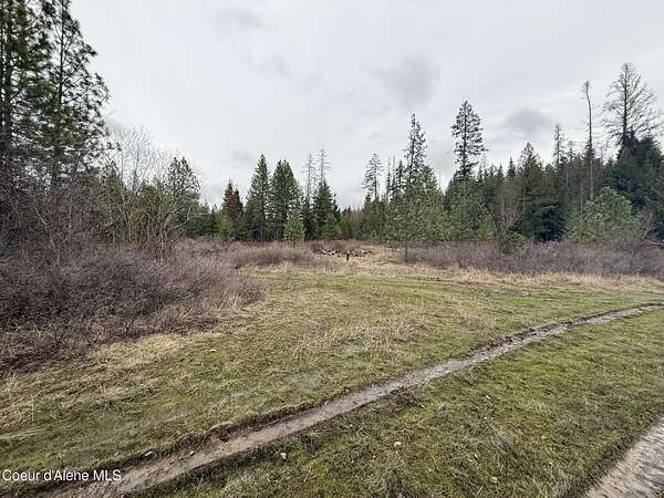 20.5 Acres of Land for Sale in St. Maries, Idaho