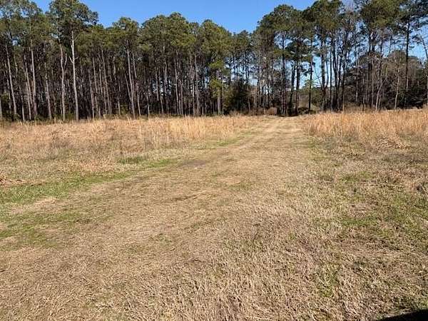 6.45 Acres of Residential Land for Sale in Johns Island, South Carolina