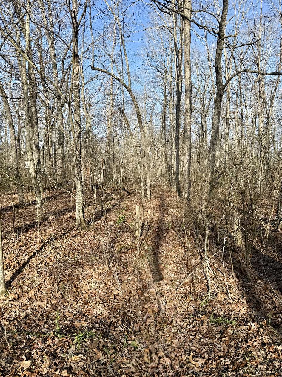 Land for Sale in Beechgrove, Tennessee