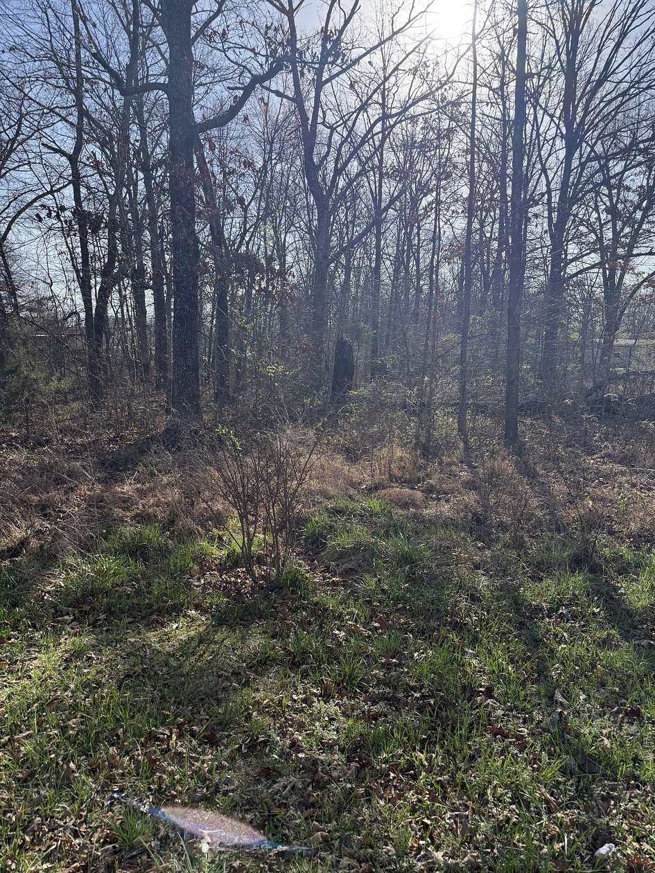 0.38 Acres of Residential Land for Sale in Beechgrove, Tennessee