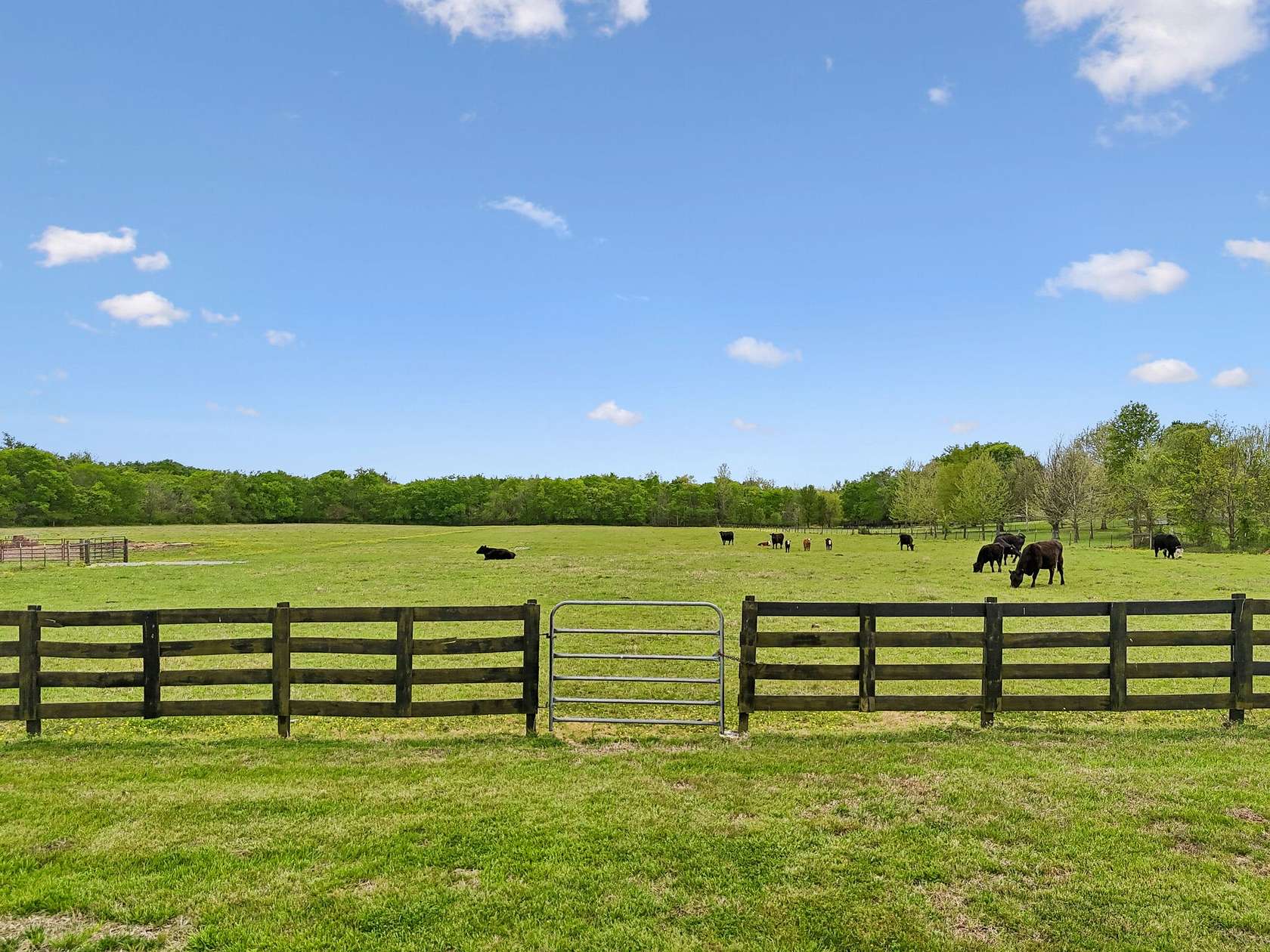 16.5 Acres of Land with Home for Sale in Chapel Hill, Tennessee