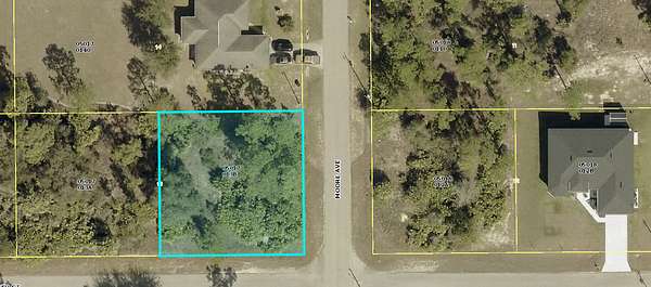 0.25 Acres of Residential Land for Sale in Lehigh Acres, Florida