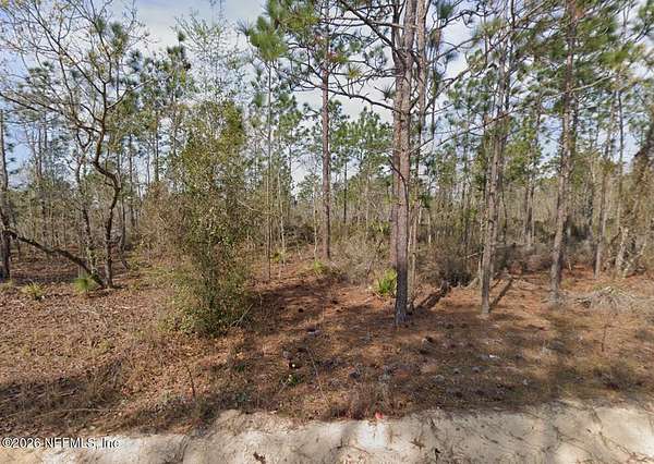 0.2 Acres of Residential Land for Sale in Interlachen, Florida