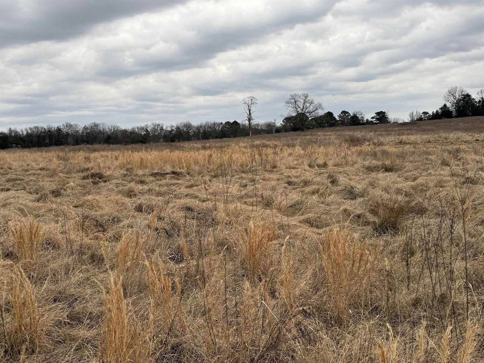 40 Acres of Land for Sale in Clarksville, Arkansas