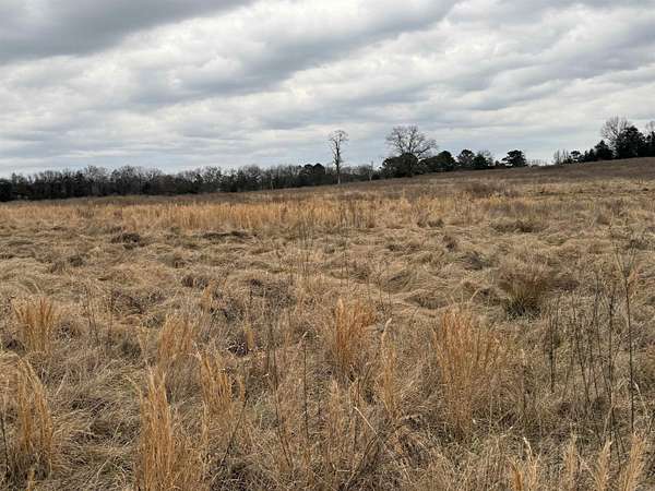 40 Acres of Land for Sale in Clarksville, Arkansas