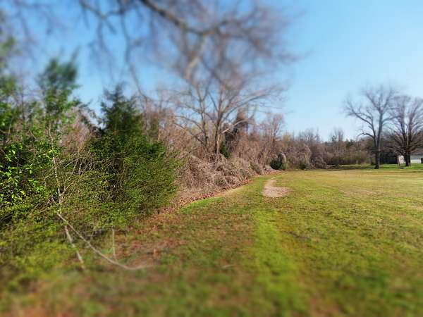 34 Acres of Land for Sale in Toone, Tennessee