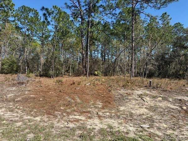 0.23 Acres of Residential Land for Sale in Citrus Springs, Florida