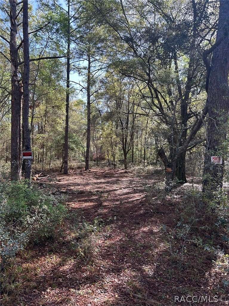 0.34 Acres of Residential Land for Sale in Citrus Springs, Florida
