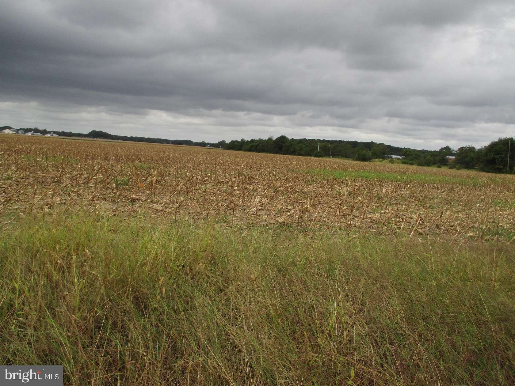 1 Acre of Residential Land for Sale in Dagsboro, Delaware