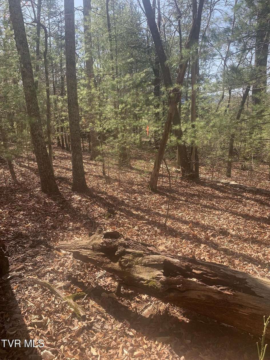 0.5 Acres of Residential Land for Sale in Greeneville, Tennessee