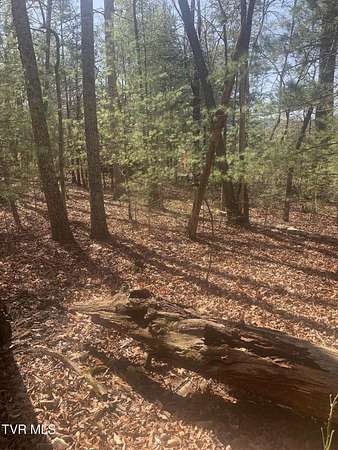 0.5 Acres of Residential Land for Sale in Greeneville, Tennessee