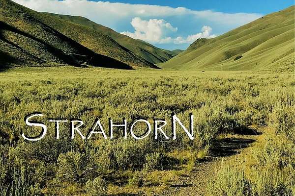 0.23 Acres of Residential Land for Sale in Bellevue, Idaho