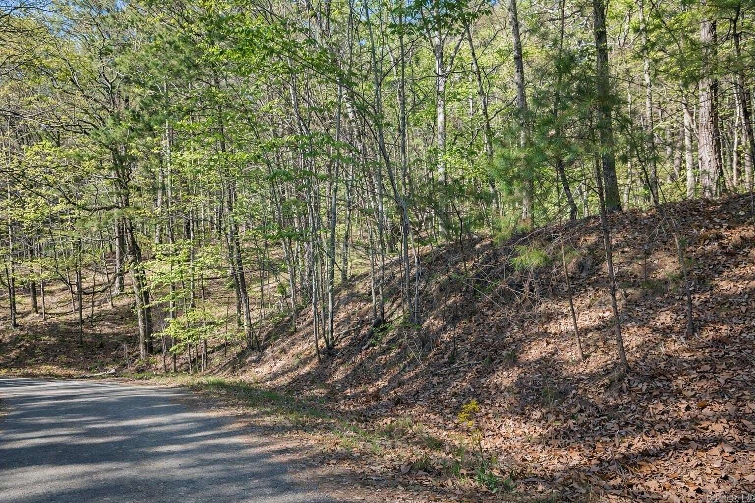 0.46 Acres of Residential Land for Sale in Hot Springs Village, Arkansas