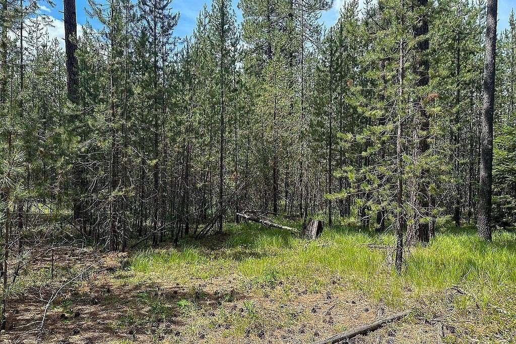 5 Acres of Land for Sale in Valley, Washington