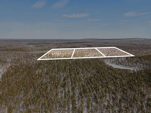 30 Acres of Recreational Land for Sale in Free Soil, Michigan