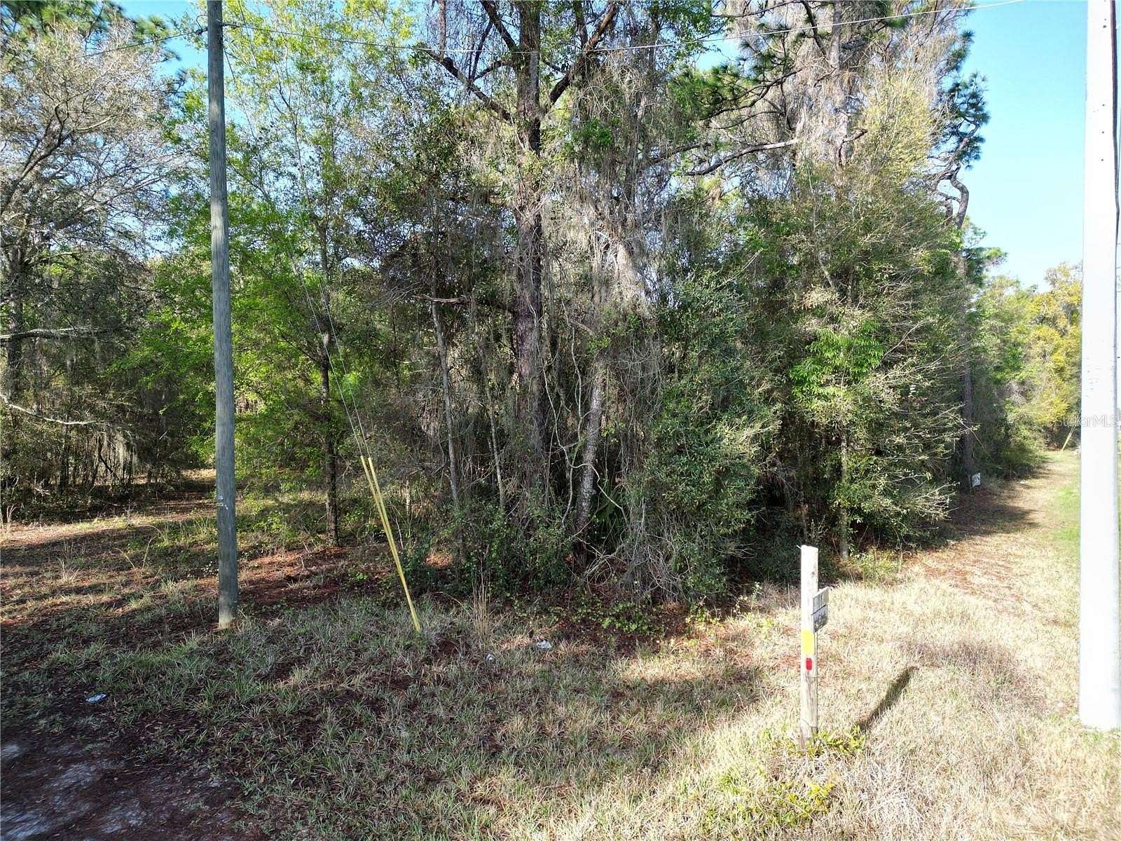 3 Acres of Residential Land for Sale in Belleview, Florida