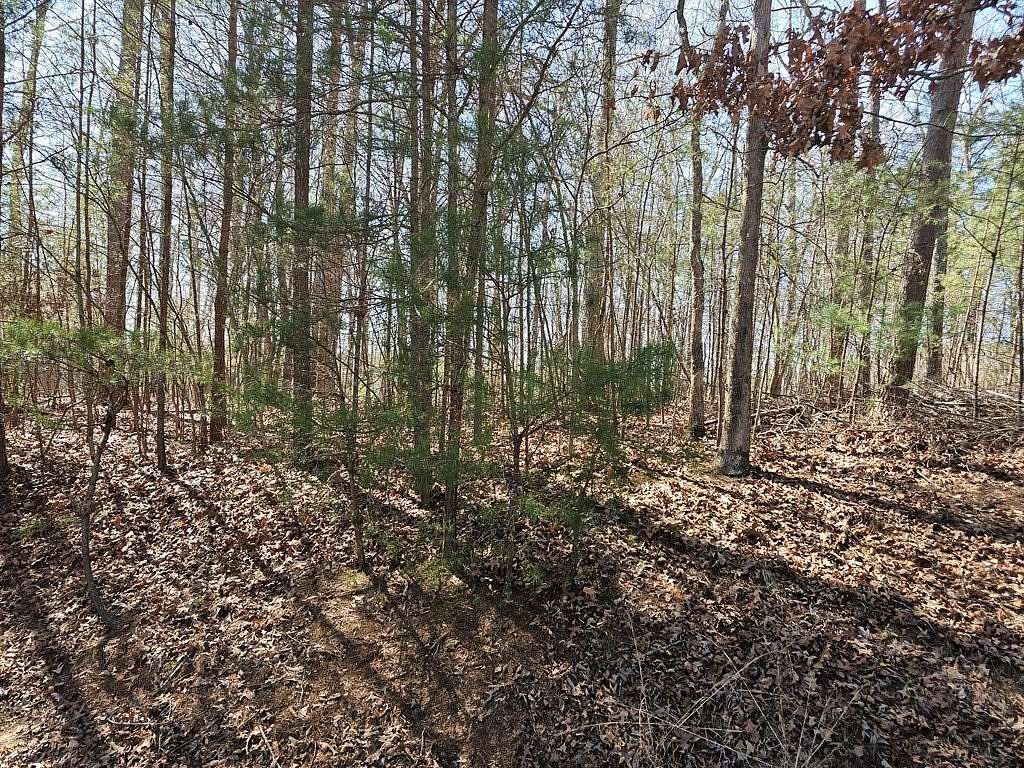 1.14 Acres of Residential Land for Sale in Mineral Bluff, Georgia