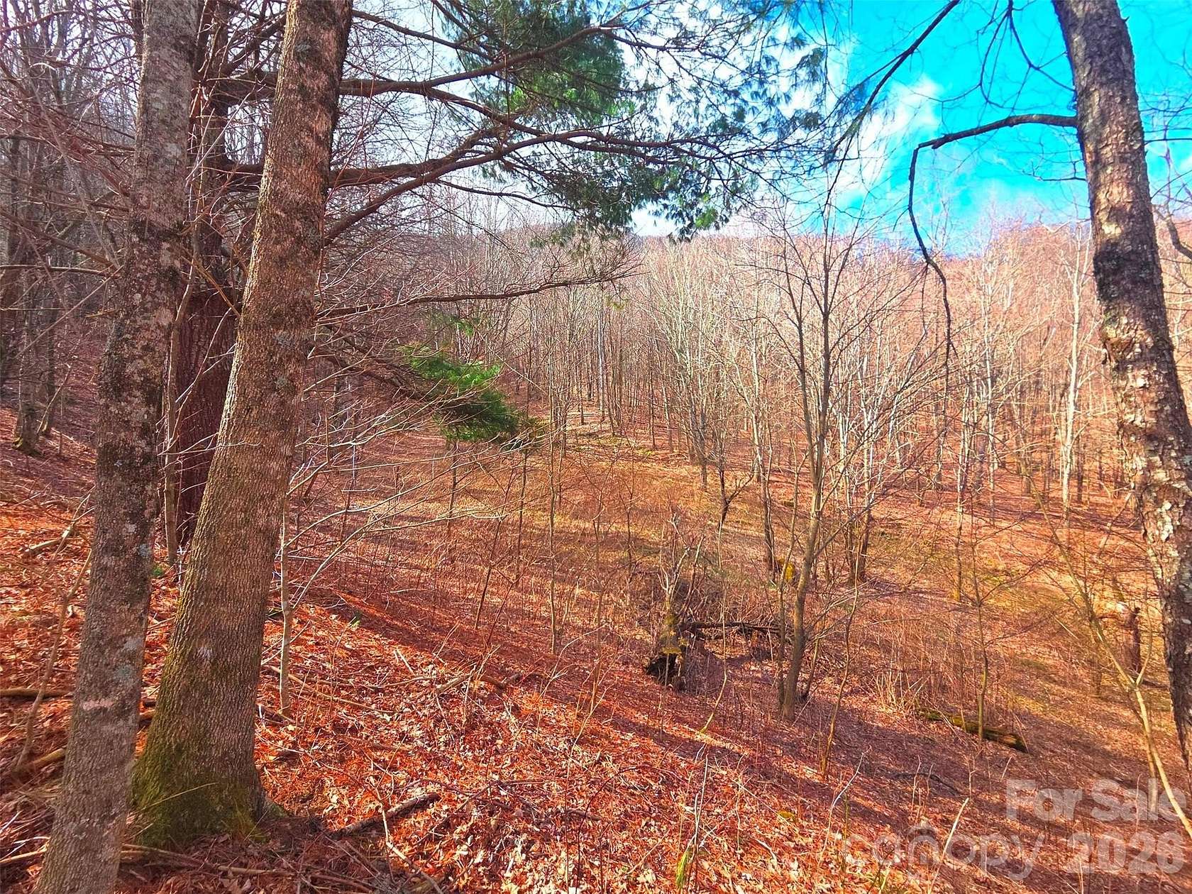 8 Acres of Land for Sale in Waynesville, North Carolina