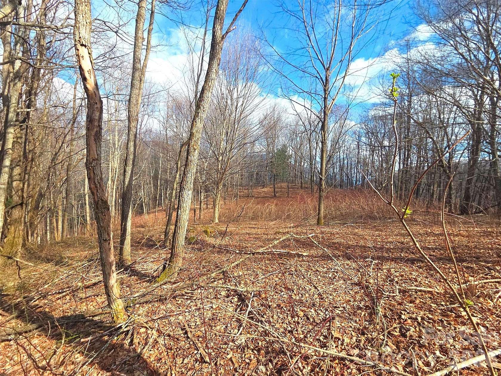 8 Acres of Residential Land for Sale in Waynesville, North Carolina