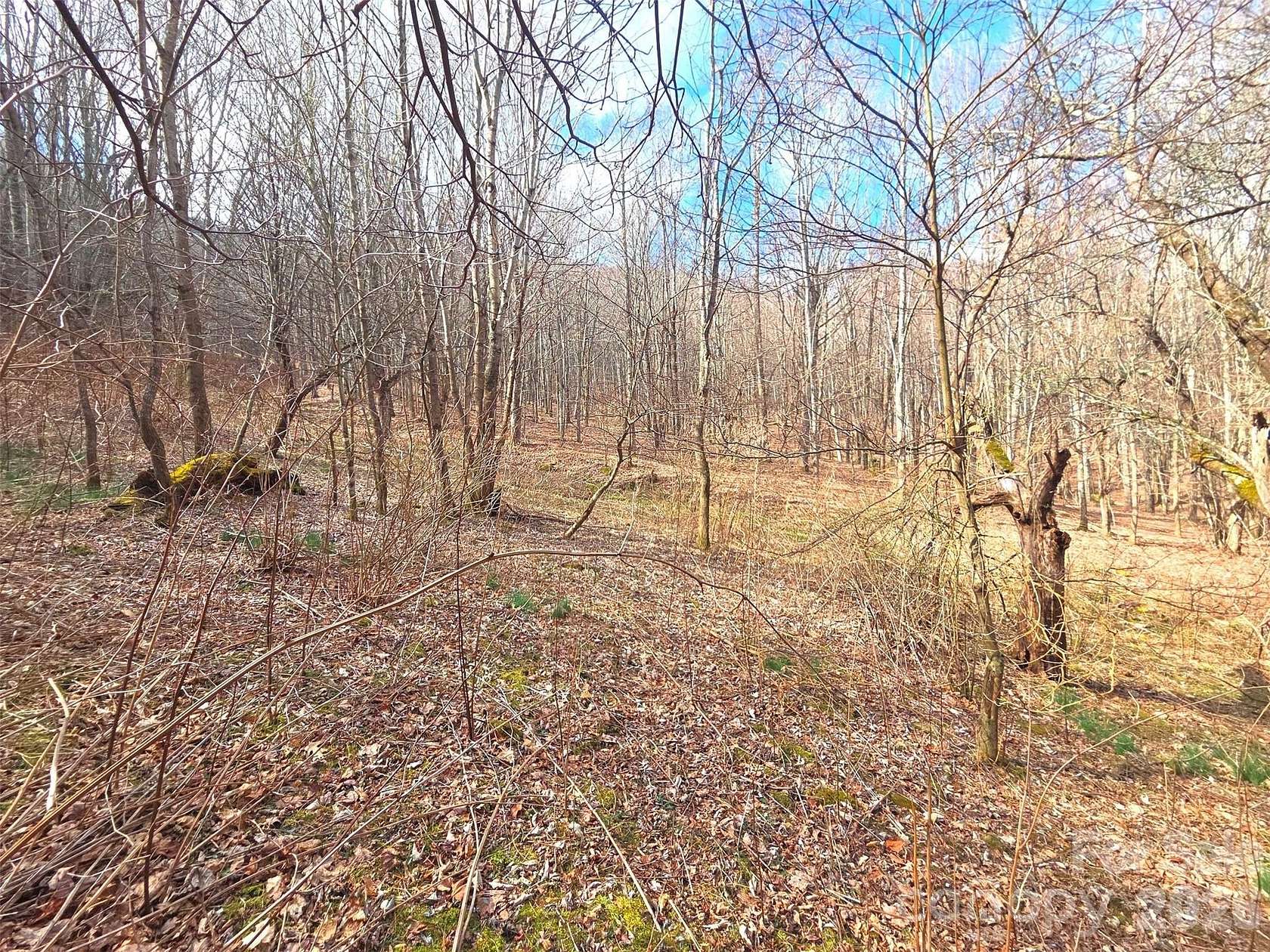 8 Acres of Land for Sale in Waynesville, North Carolina