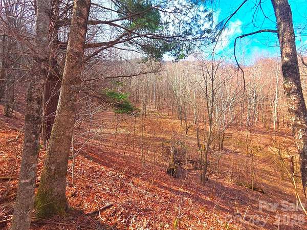 8 Acres of Land for Sale in Waynesville, North Carolina