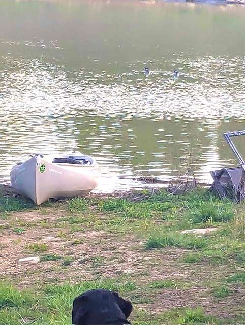 25.5 Acres of Land with Home for Sale in Fayetteville, Tennessee