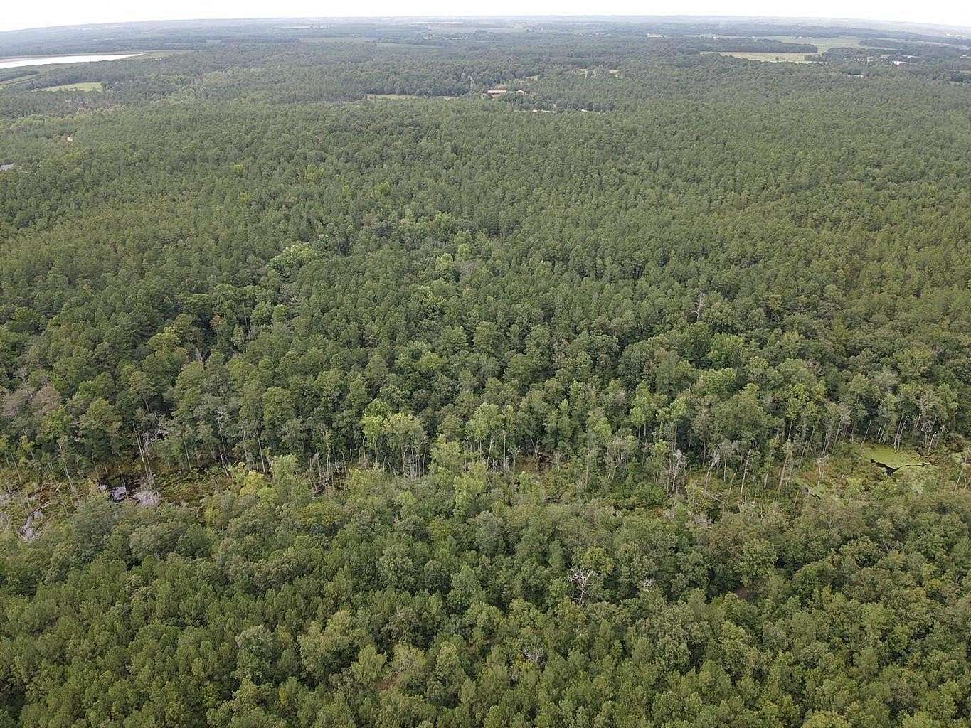 37.2 Acres of Recreational & Residential Land for Sale in Trenton, South Carolina
