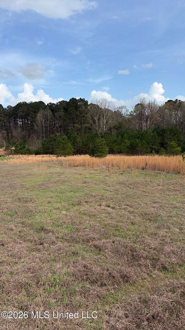 6 Acres of Residential Land for Sale in Pelahatchie, Mississippi