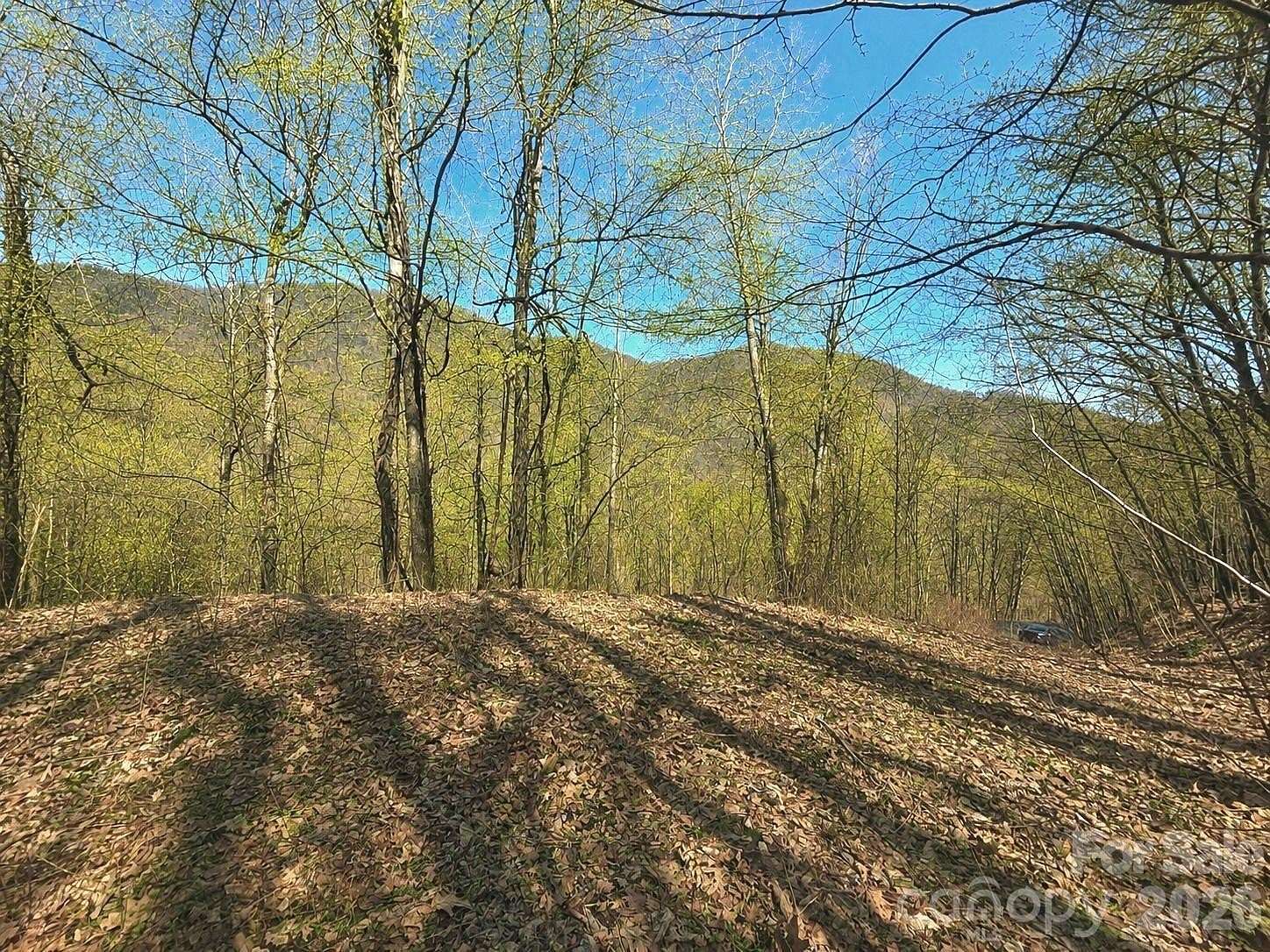 5.26 Acres of Residential Land for Sale in Waynesville, North Carolina