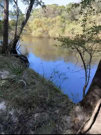 8.4 Acres of Residential Land for Sale in Ridgeville, South Carolina