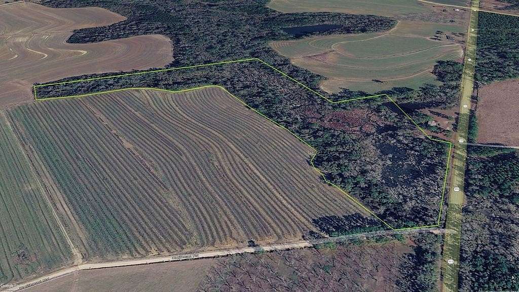 14 Acres of Recreational Land for Sale in Cairo, Georgia