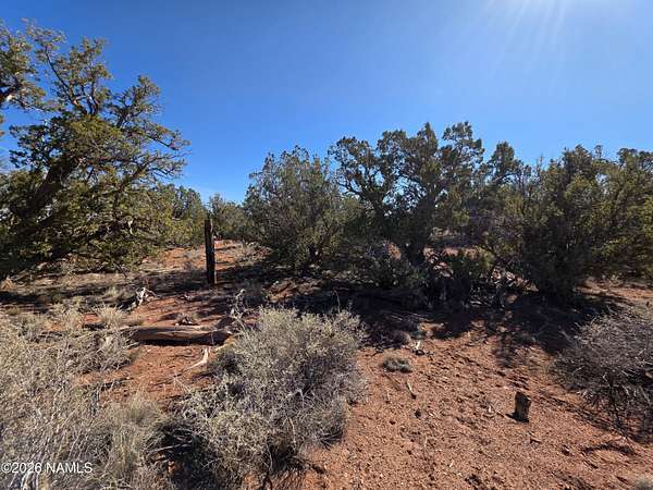 1 Acre of Residential Land for Sale in Williams, Arizona