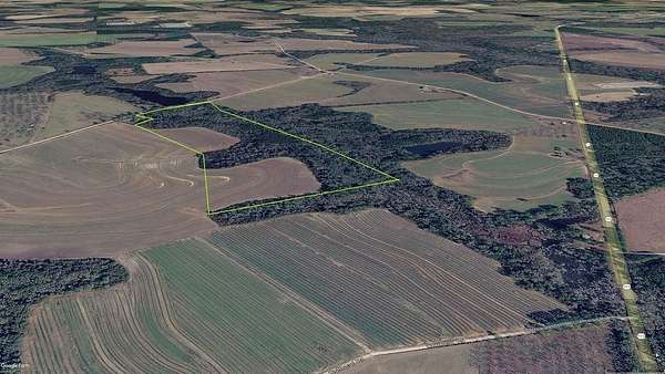 58 Acres of Recreational & Residential Land for Sale in Cairo, Georgia