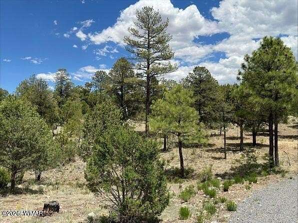 0.87 Acres of Residential Land for Sale in Heber, Arizona