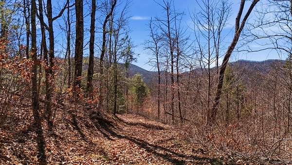53.6 Acres of Recreational Land for Sale in Franklin, North Carolina