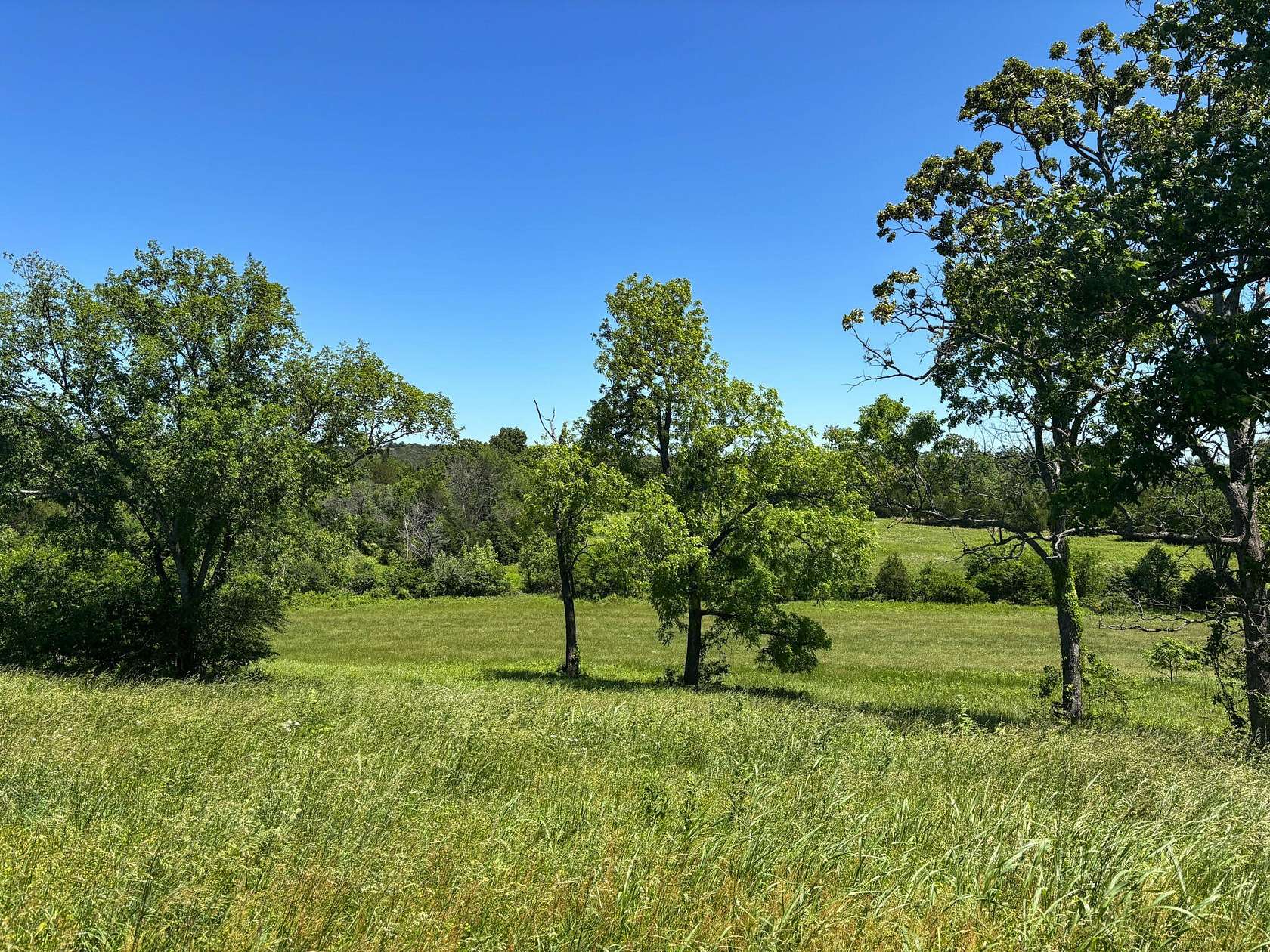 31 Acres of Agricultural Land for Sale in Theodosia, Missouri