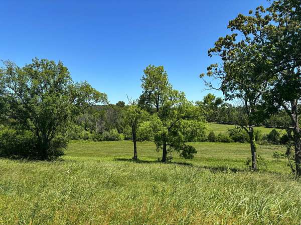 31 Acres of Agricultural Land for Sale in Theodosia, Missouri