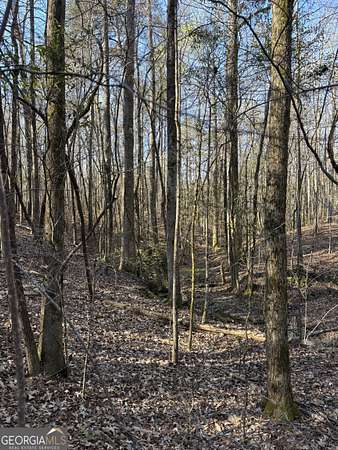 45.5 Acres of Land for Sale in West Point, Georgia