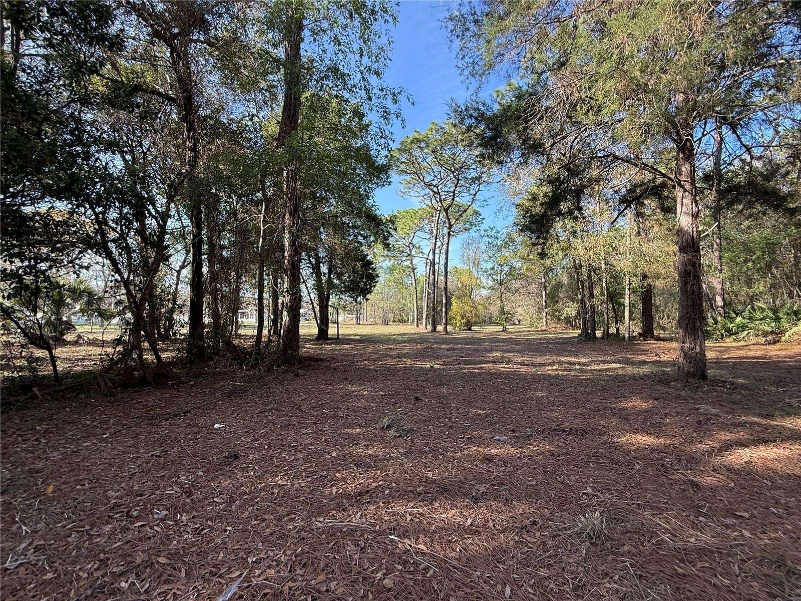 2.63 Acres of Residential Land for Sale in Homosassa, Florida