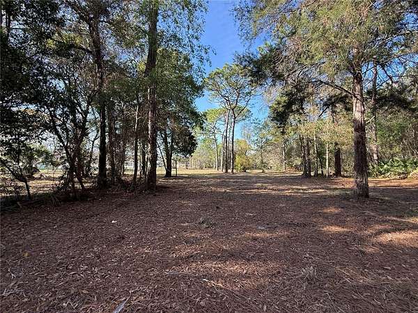 2.63 Acres of Residential Land for Sale in Homosassa, Florida