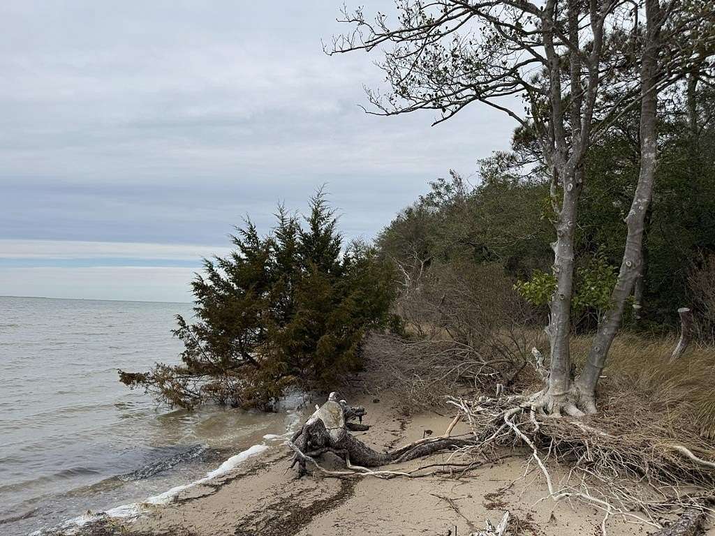 1.64 Acres of Land for Sale in Painter, Virginia