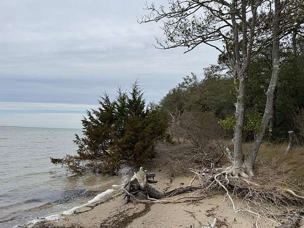 1.64 Acres of Land for Sale in Painter, Virginia